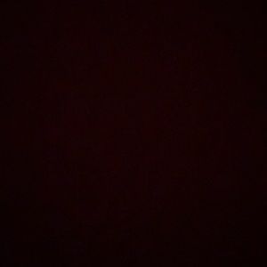 Meet your Posher, Ally